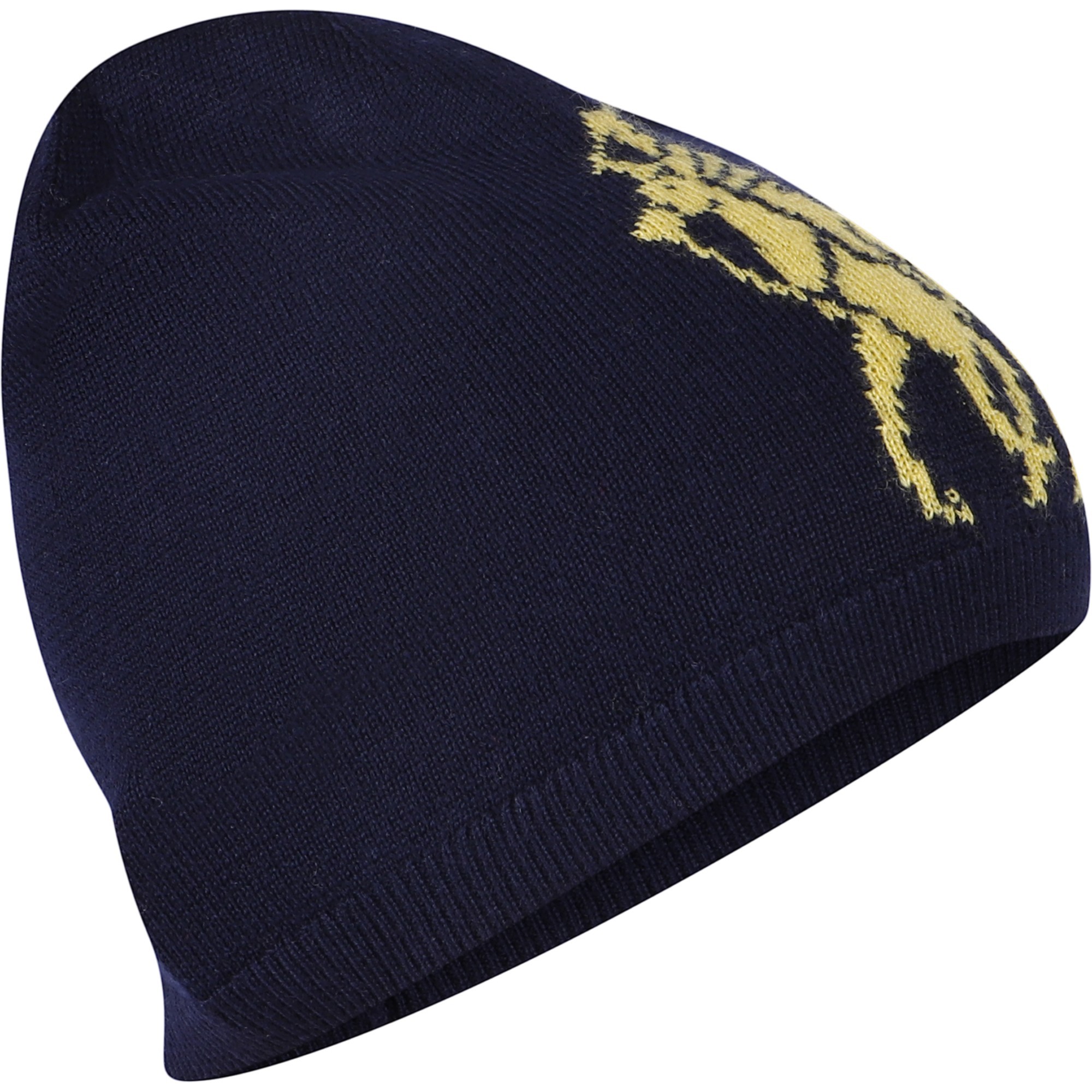 Polo Ralph Lauren Boys Logo Beanie Hat in Navy