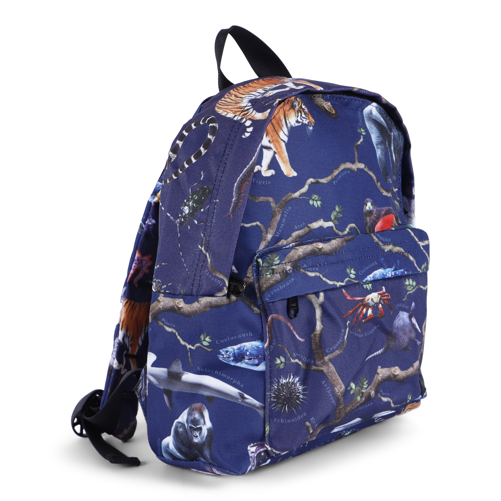 Molo Animal Kingdom Boys' Backpack