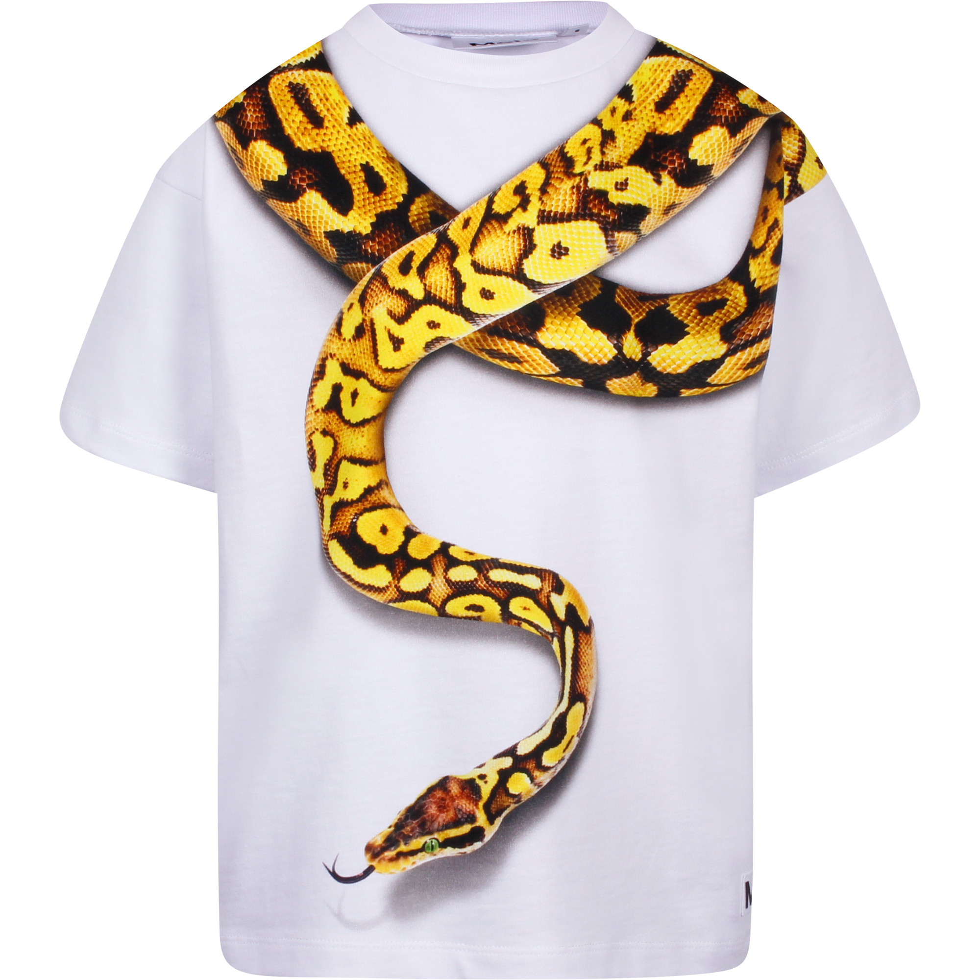 Anaconda shirt Clearance