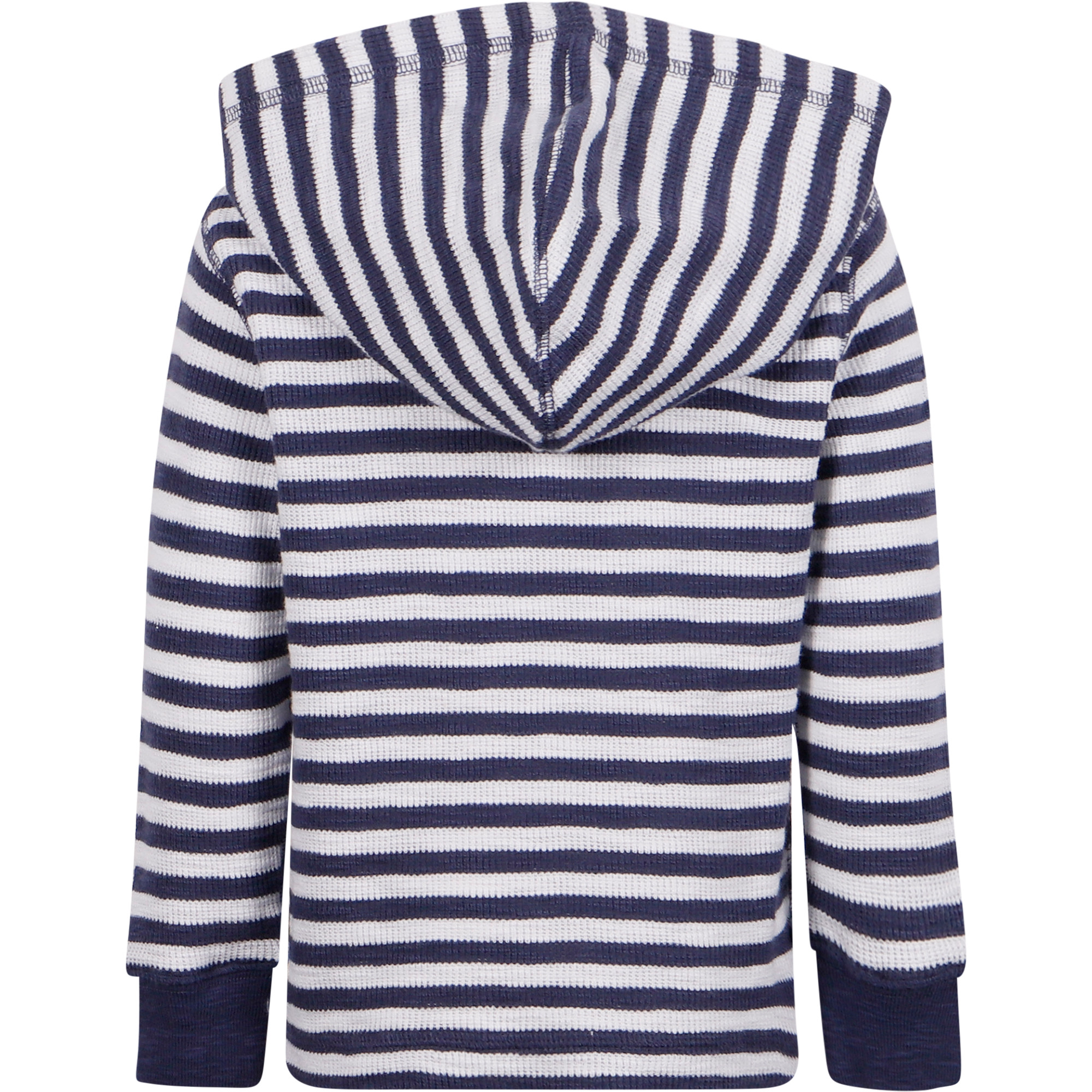 Polo Ralph Lauren Striped Hoodie in Blue and White