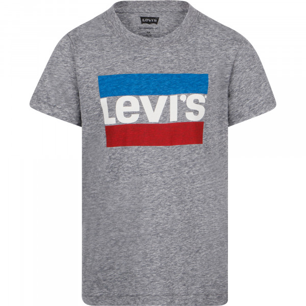 Logo T-Shirt in Grey