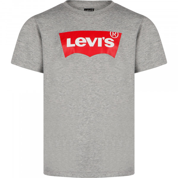 Logo T-Shirt in Grey