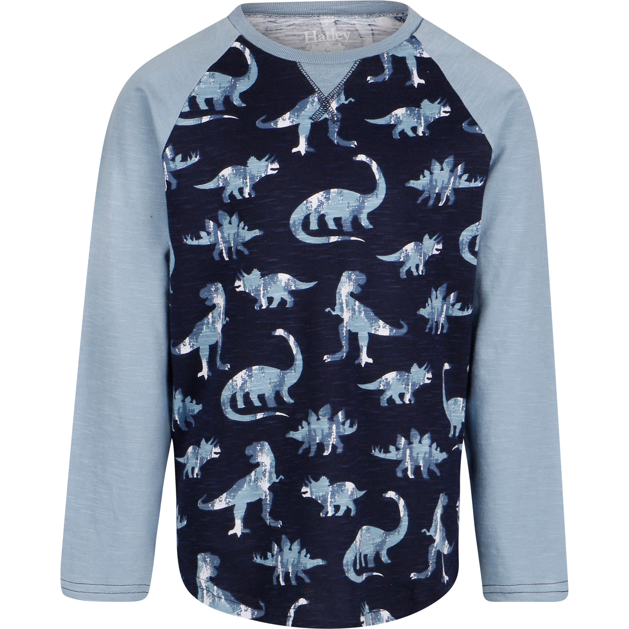 Hatley Dinosaur Print TShirt in Blue