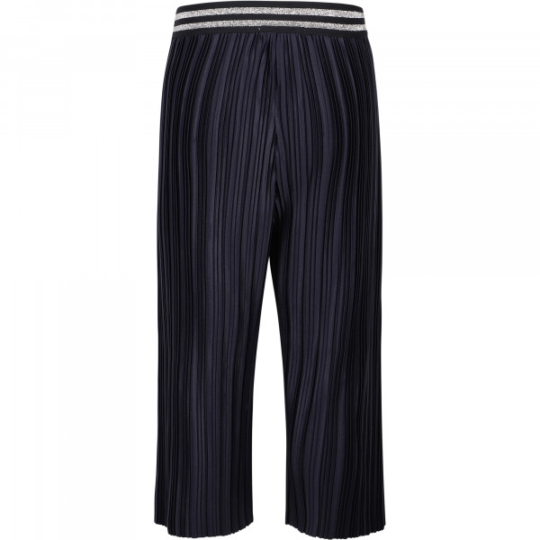 Pleated Trousers in Navy Blue