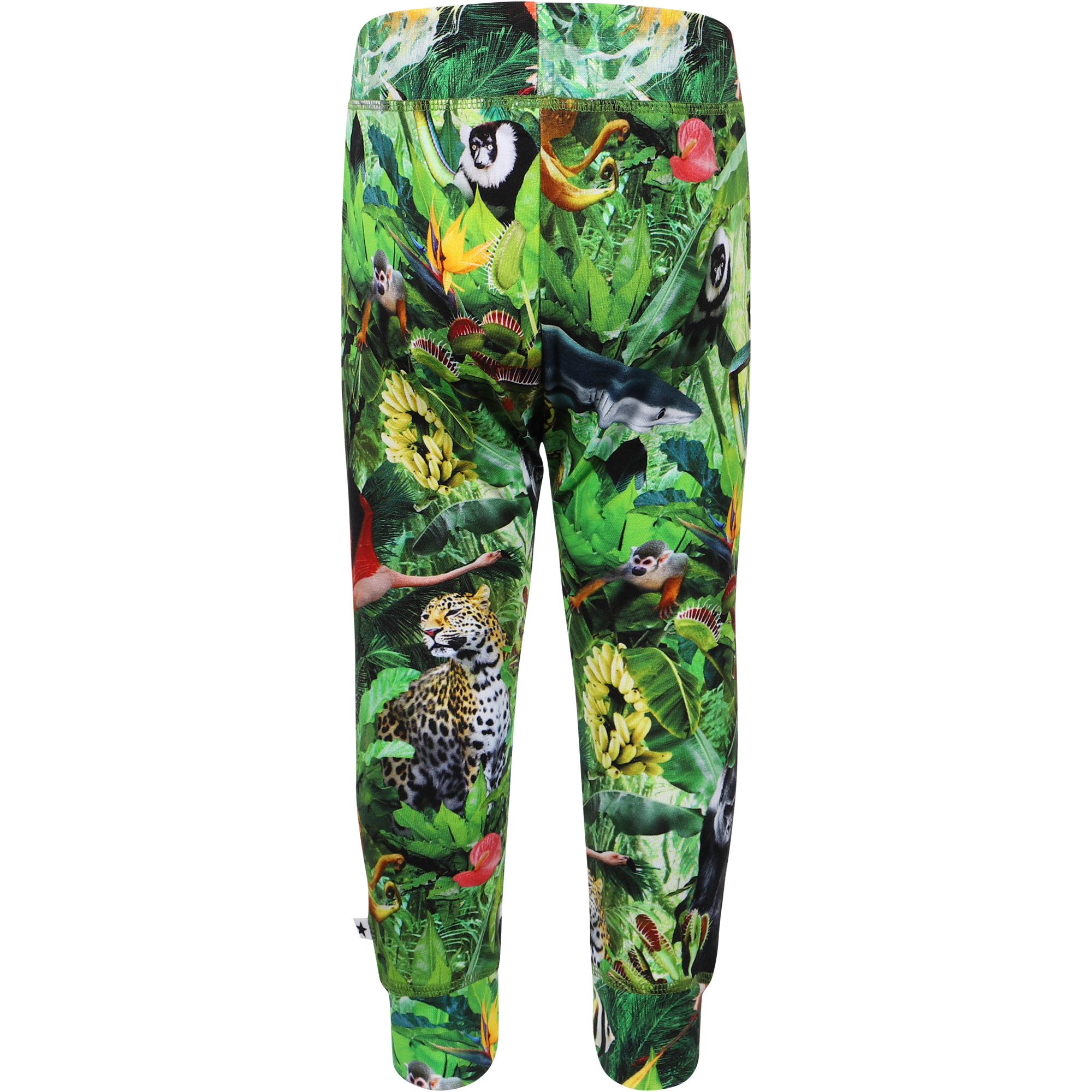Molo Fantasy Jungle Track Pants in Green —