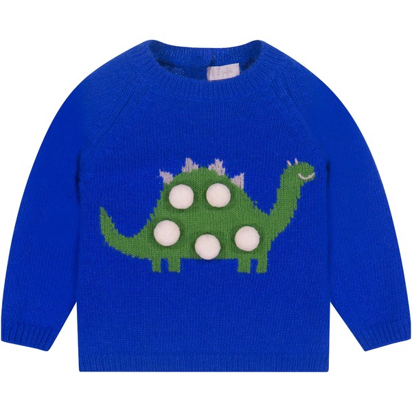 baby dinosaur sweater