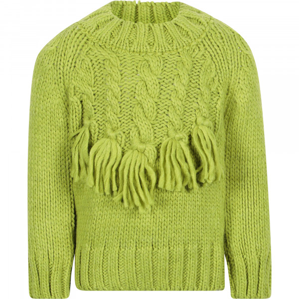 Braids with Fringe Detailing Knit Sweater in Green