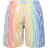 Colorful Striped Swimming Trunks