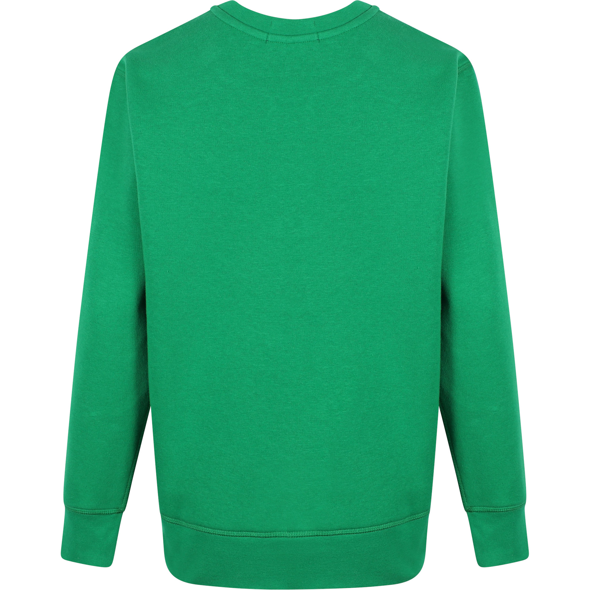 Polo Ralph Lauren Logo Bear Sweatshirt in Green