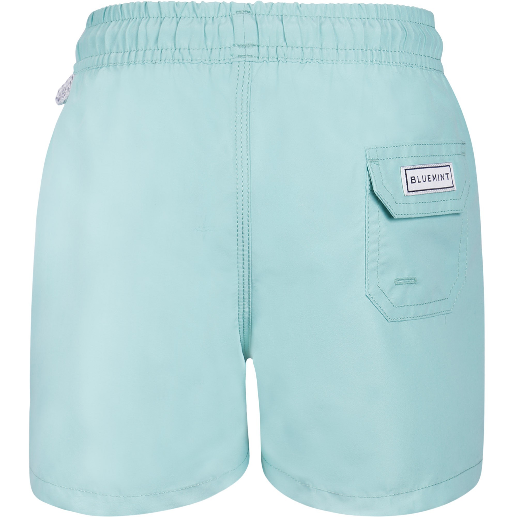 Bluemint Boys Swim Trunks in Green